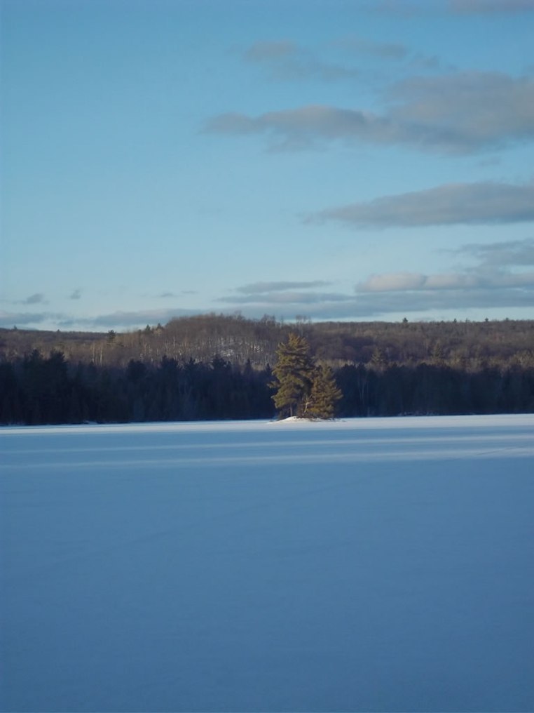 Winter landscape on lakefront at Artesia Peaks Estates