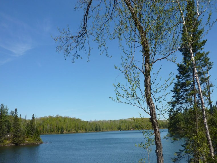 Exclusive cottage lots for sale near Ottawa