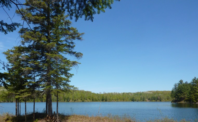 Petit Lac Murray in Spring